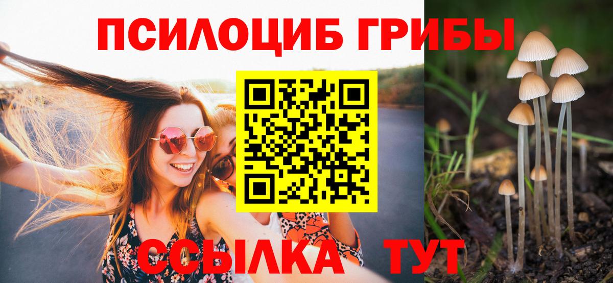 Псилоцибиновые грибы мухоморы Карталы