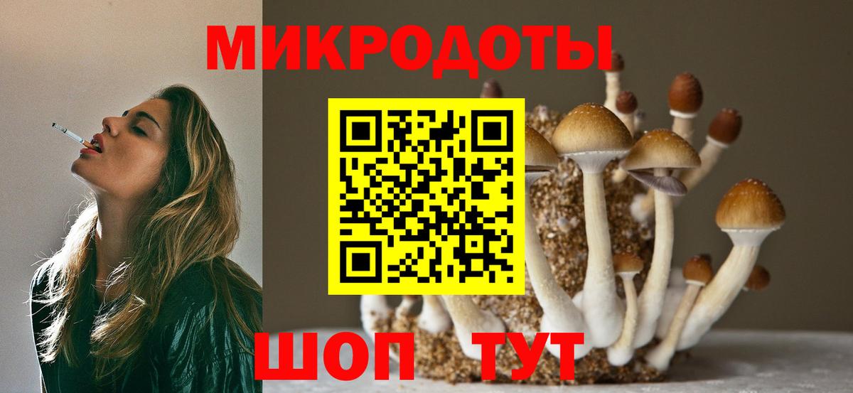 Галлюциногенные грибы MAGIC MUSHROOMS  Галлюциногенные грибы прущие грибы  Вход с VPN  Карталы 